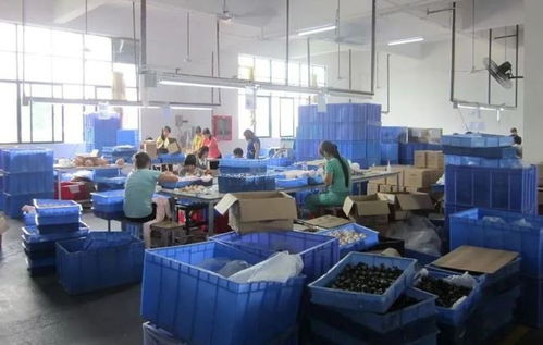 破冰制造 招不到人的背后，是灵活就业的觉醒？